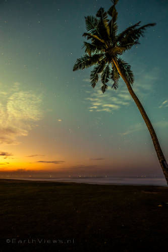 Text: Palm trees against a night sky during morning twilight at Weligama, Sri Lanka.
