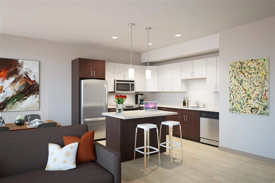 Living Room - Kitchen