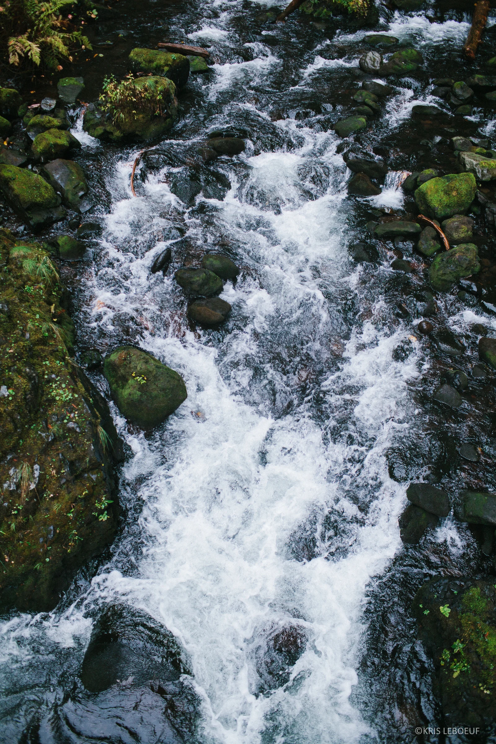 KrisLeBoeuf_NatalieDeryn_ColumbiaGorge-8978.jpg