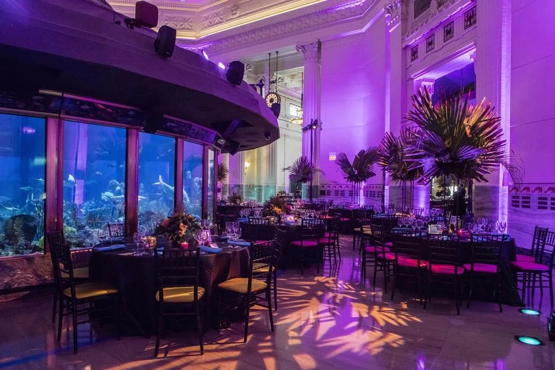 Kehoe Designs - Event Sample - Chicago Aquarium 