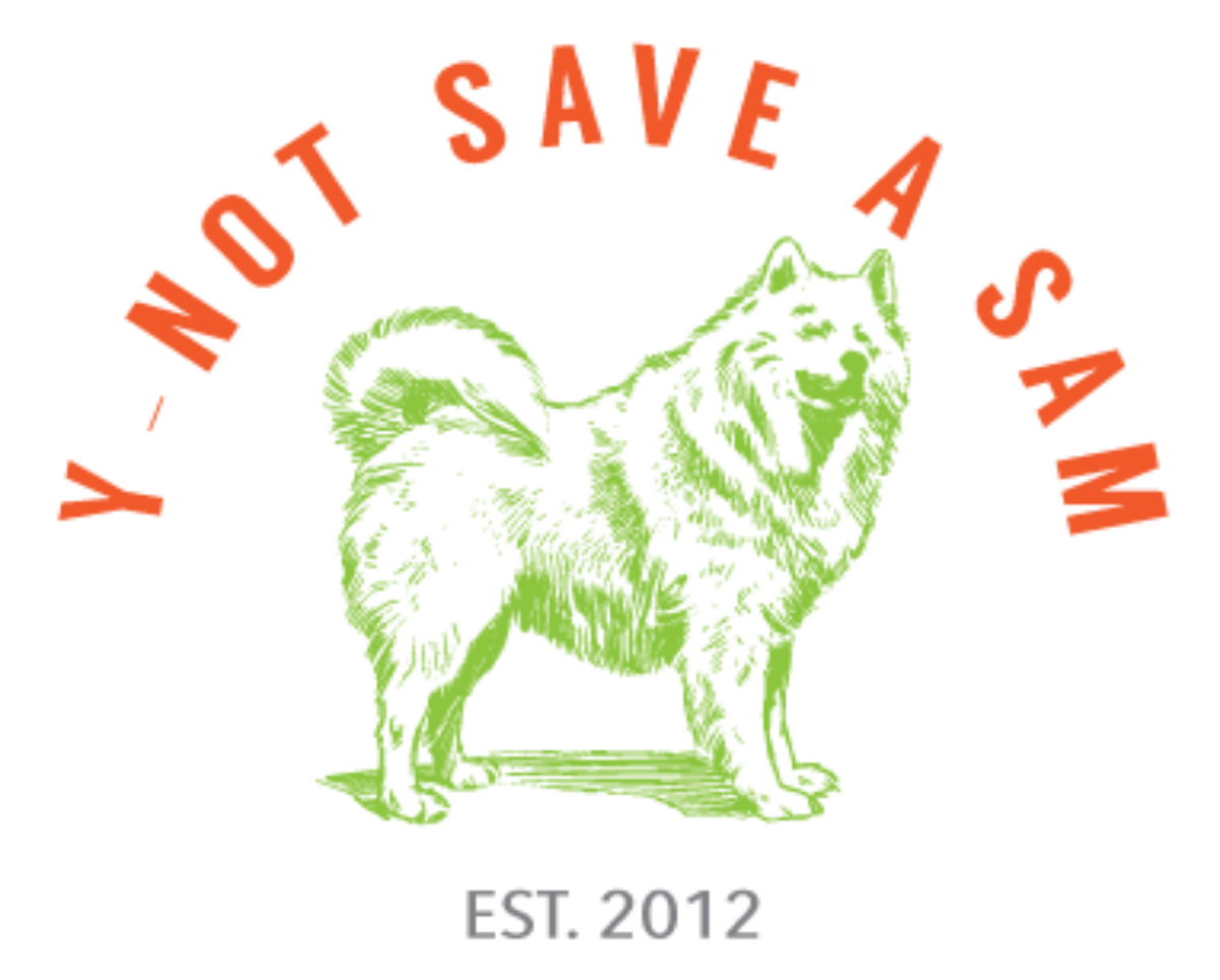 logo.png