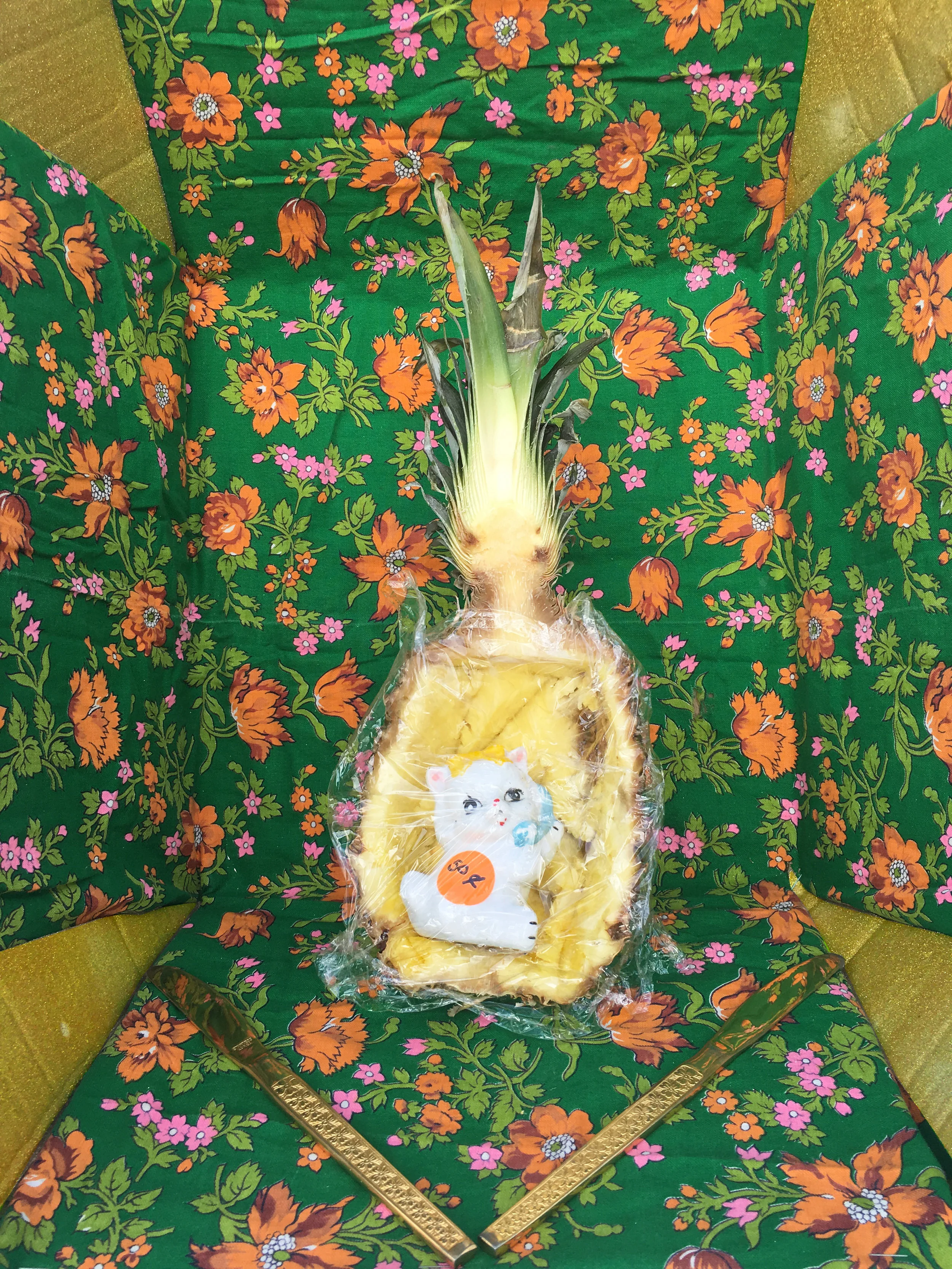 Pineapple Cat.jpg
