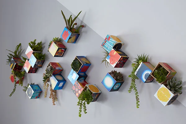 spr_hd_livingwall_cu.jpg