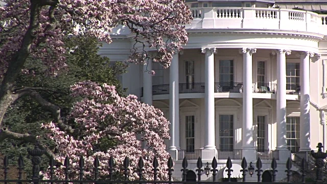 Cherry Blossoms at the White House.