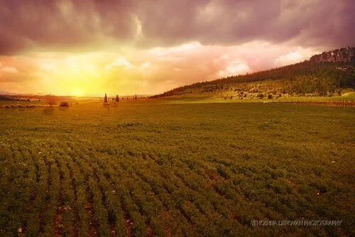 The valley of Ella at sunset