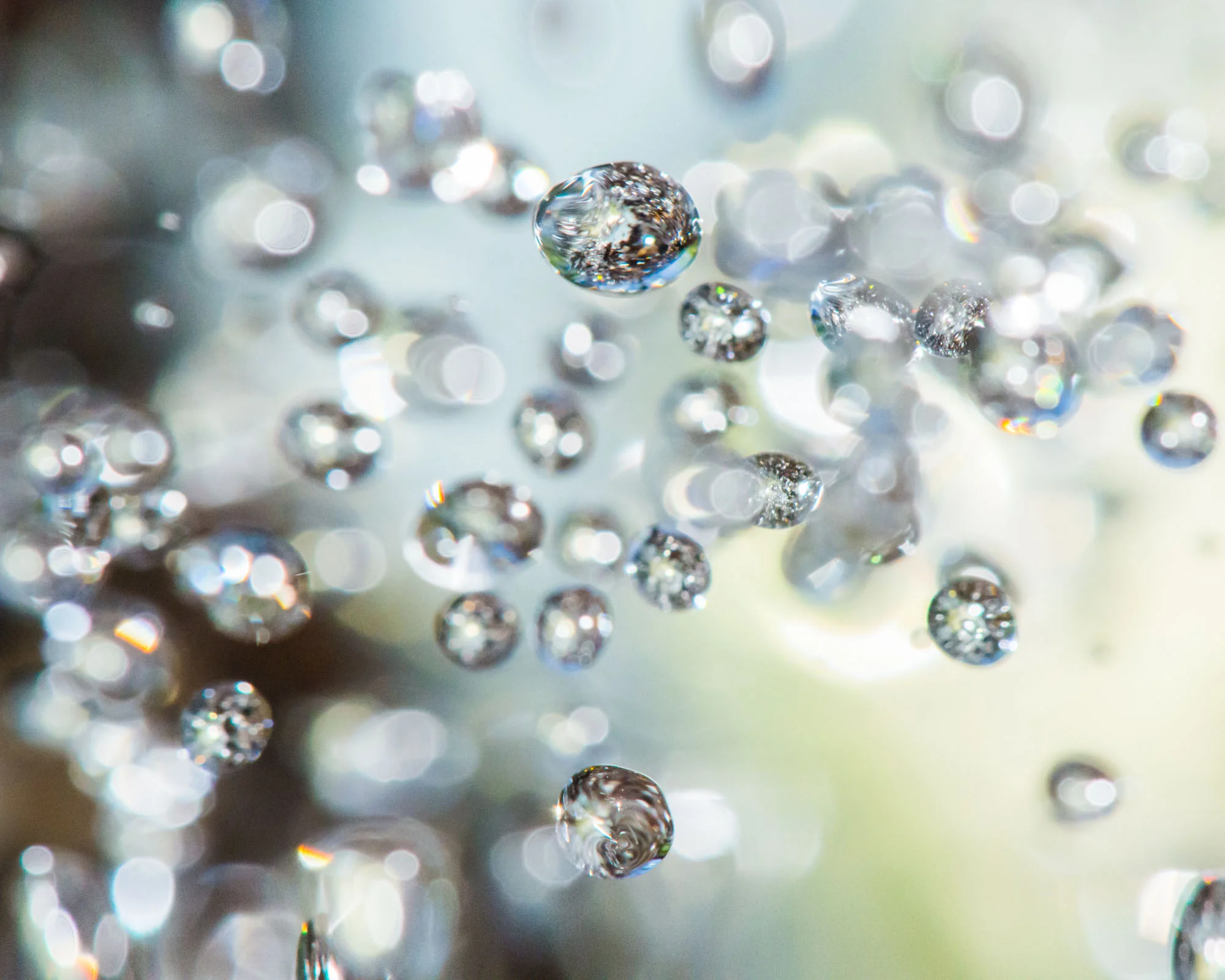PRN_1900-Edit.jpg