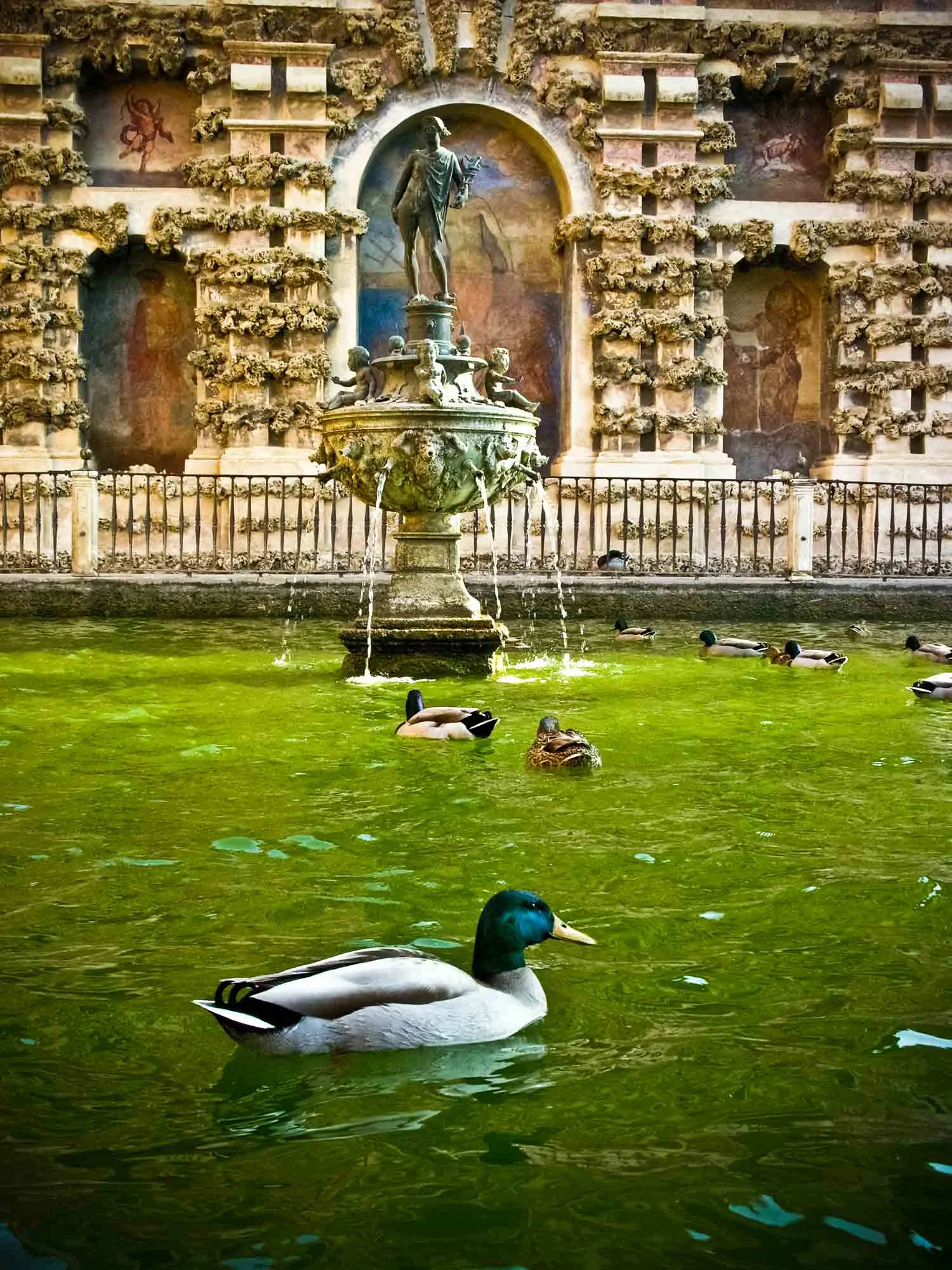 sevilla fountain with ducks.jpg