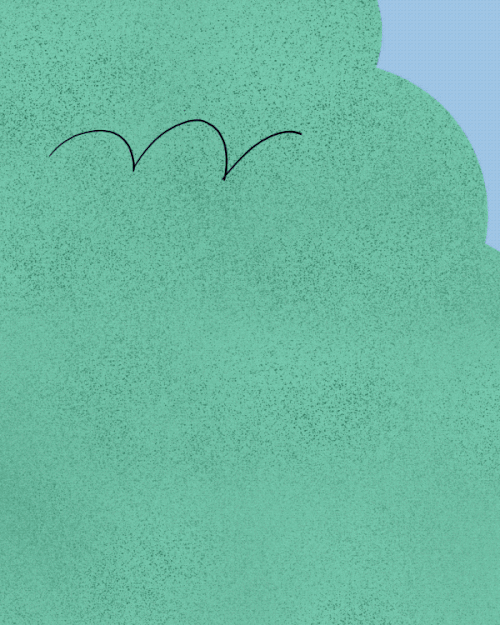 five-minutes-more-g-ney-soykan