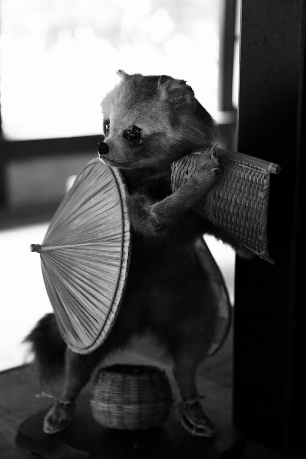 I love this cheeky little tanuki that looks like he's about to run away.