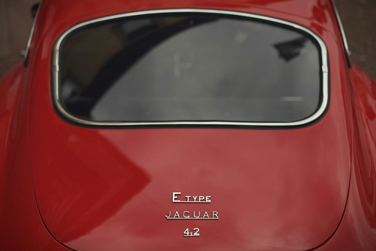 beautiful rear view