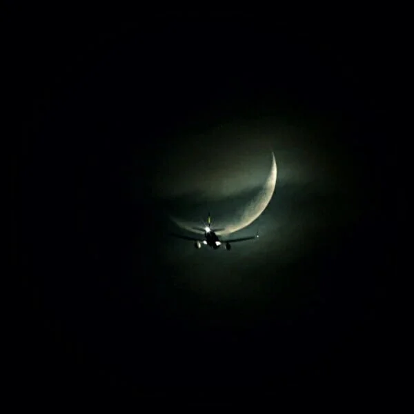 fly me to the moon