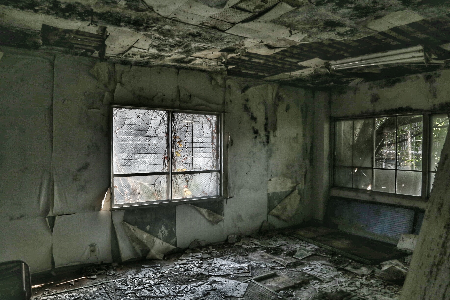 lower floor room