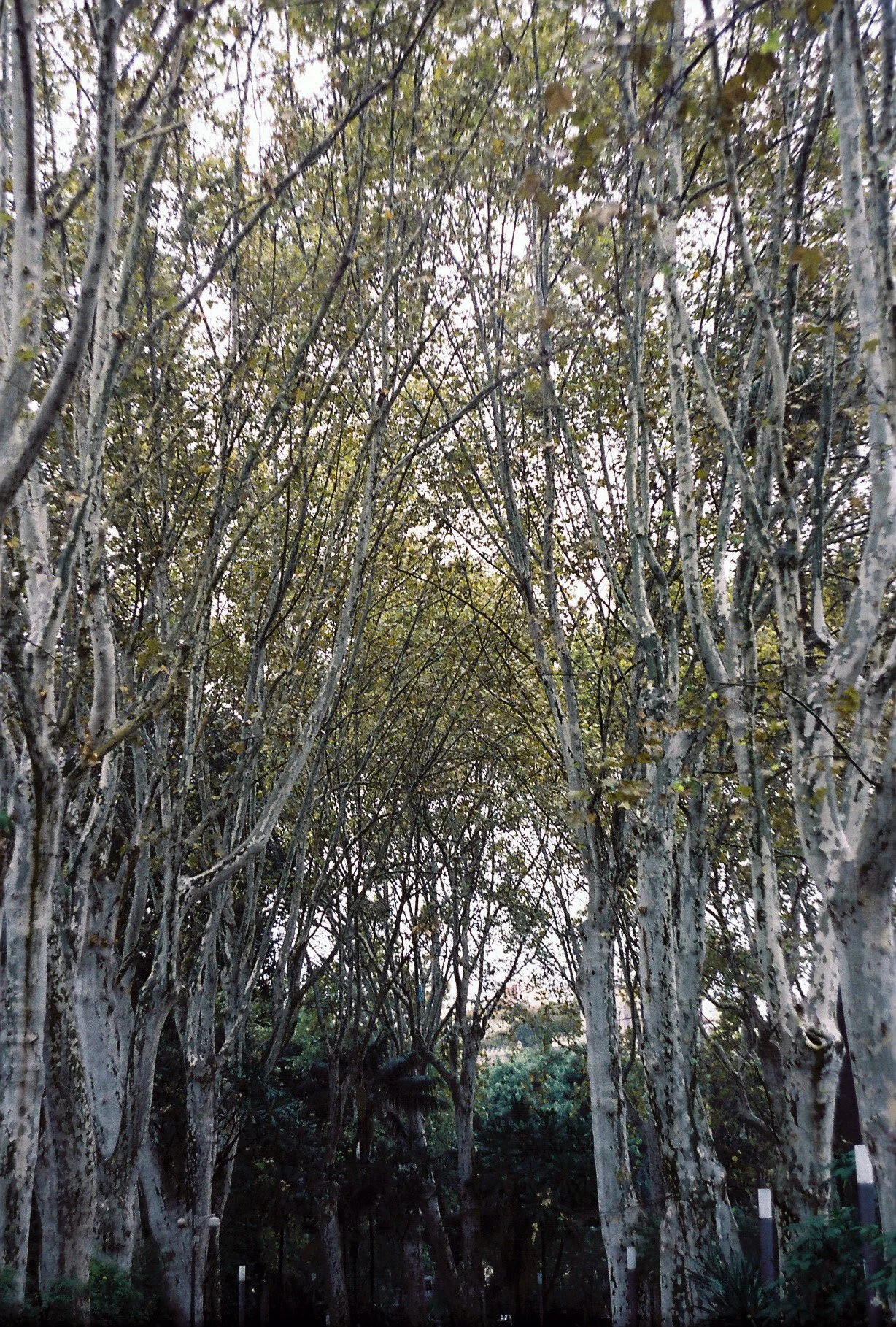 CNV00032-Recovered.jpg