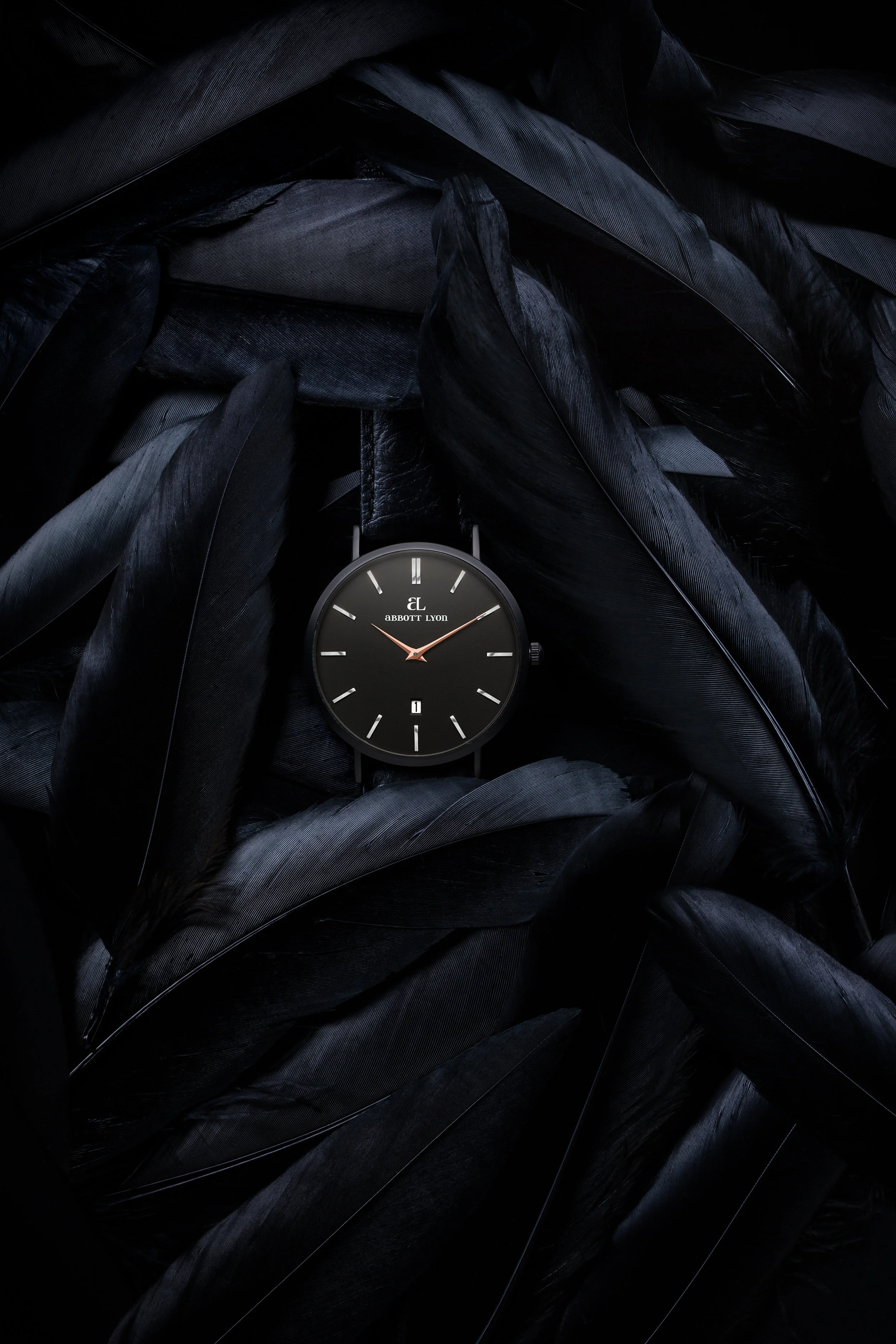 Black Stellar Feathers.jpg