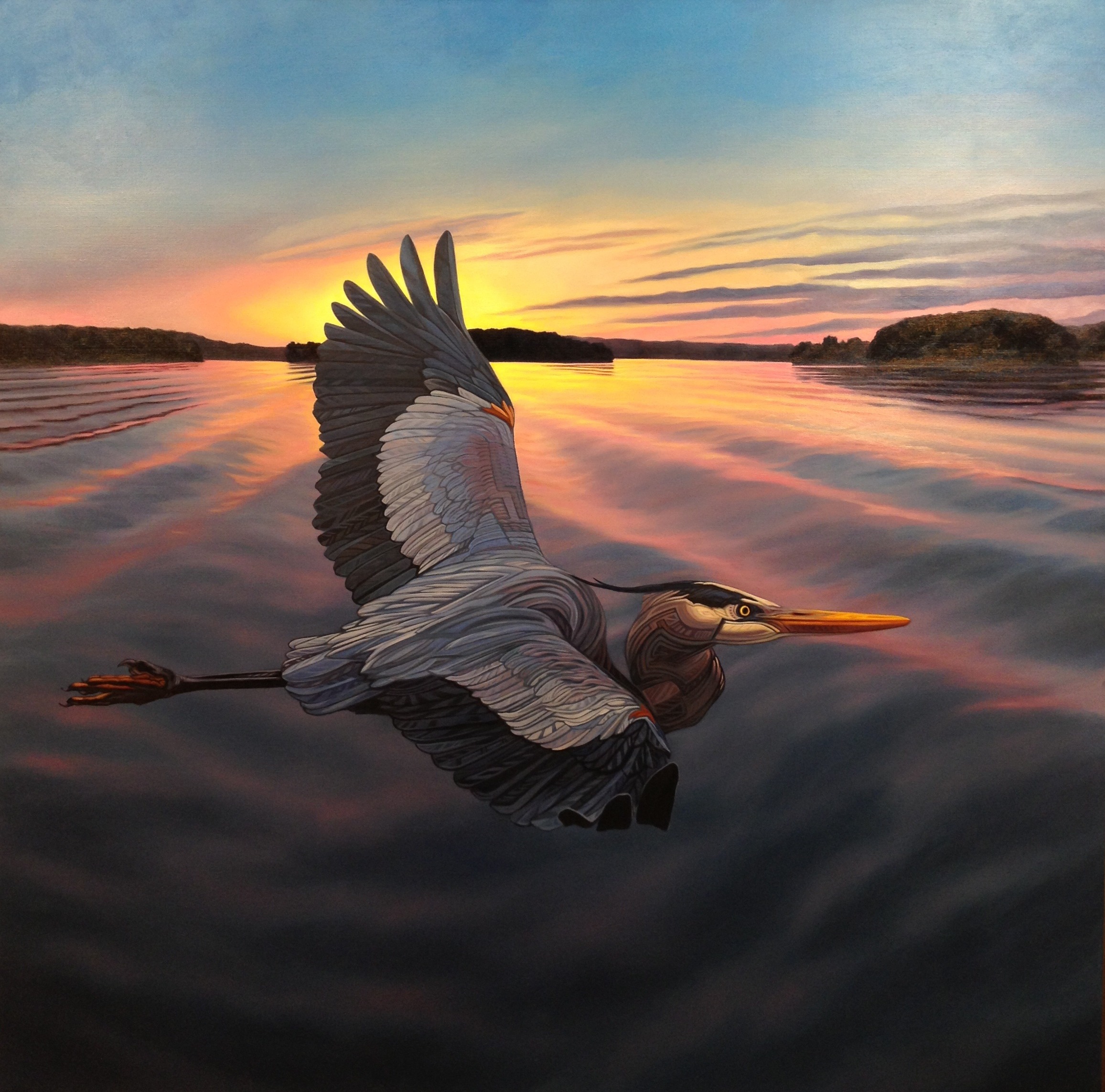 heron over smithtown.jpg