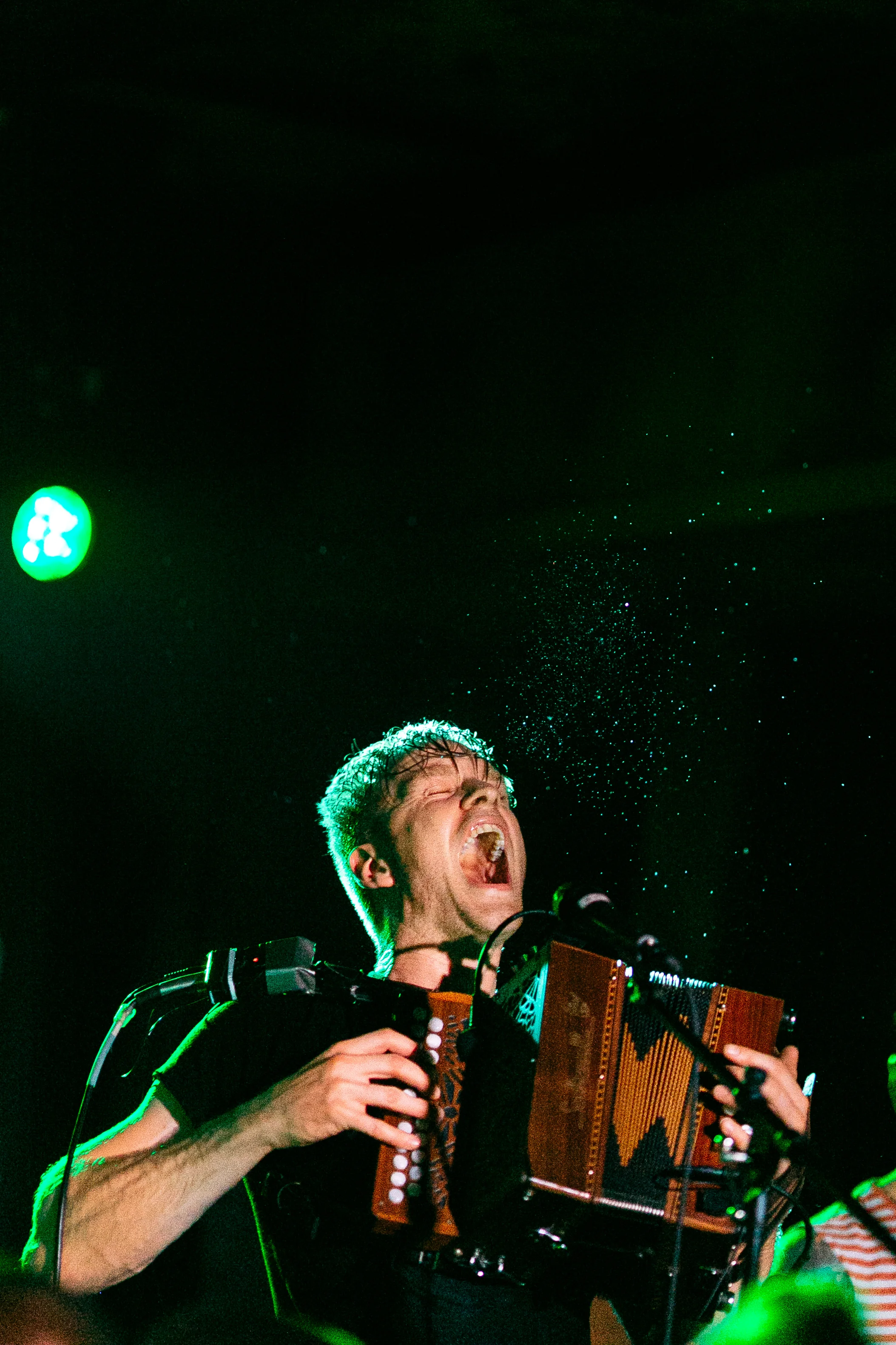 094-SKINNY LISTER-favorites.JPG