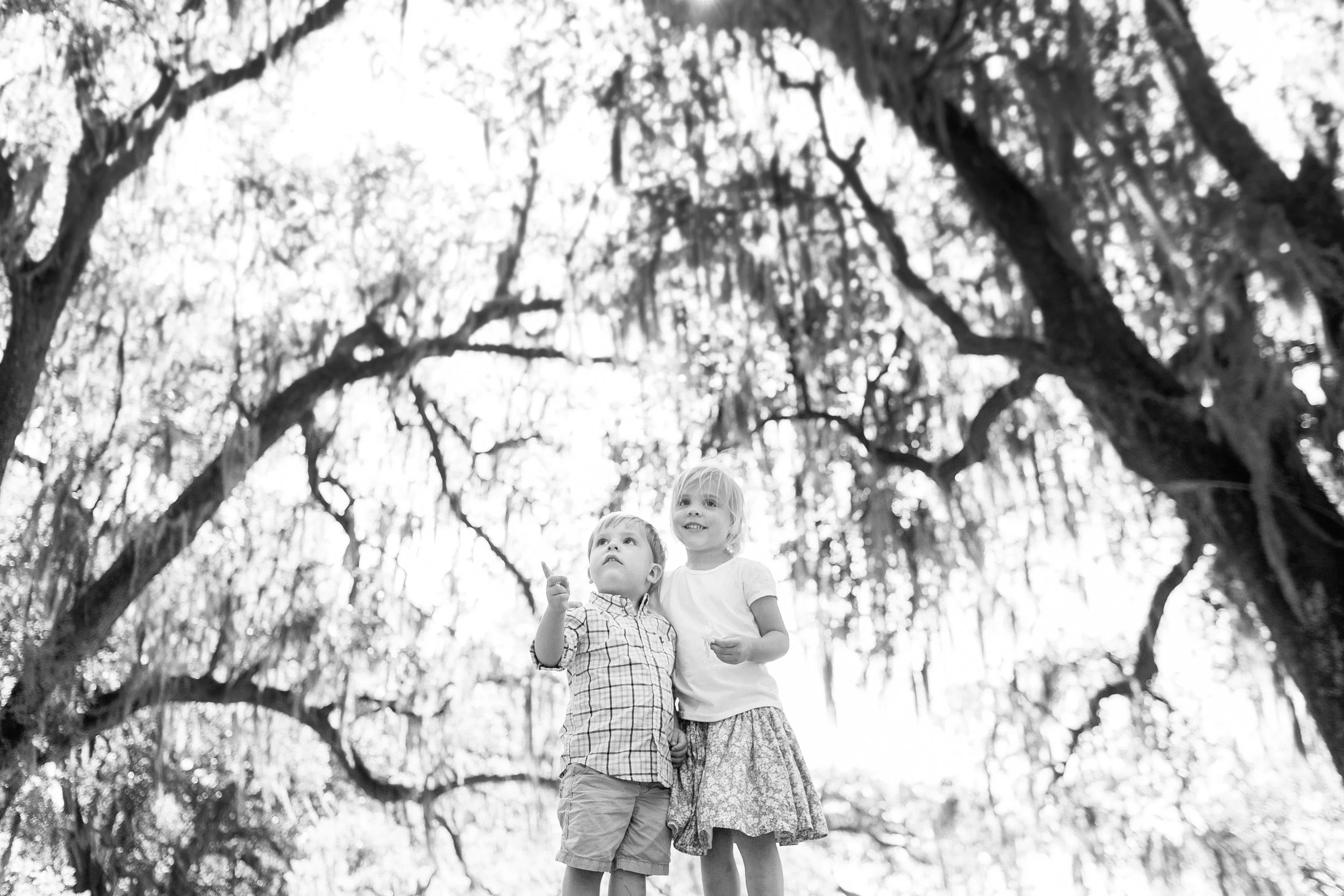 013-kd-photog favs.JPG