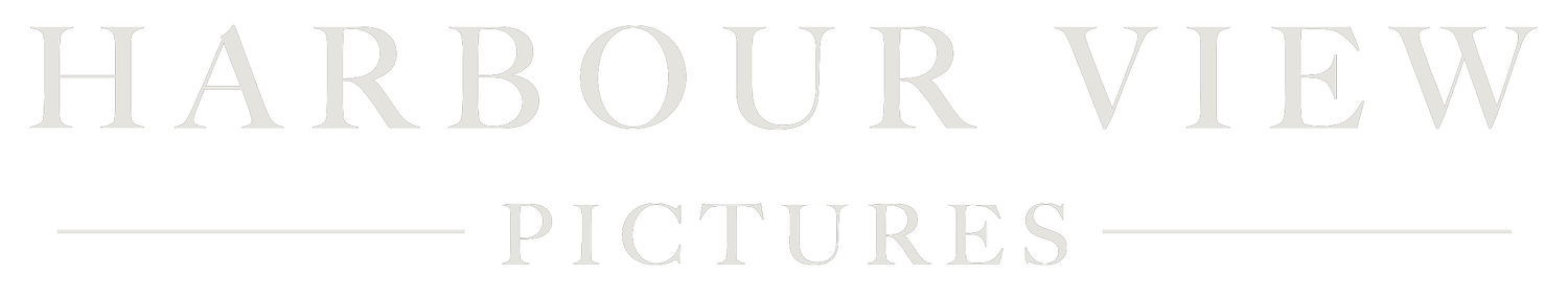 Harbour View Pictures