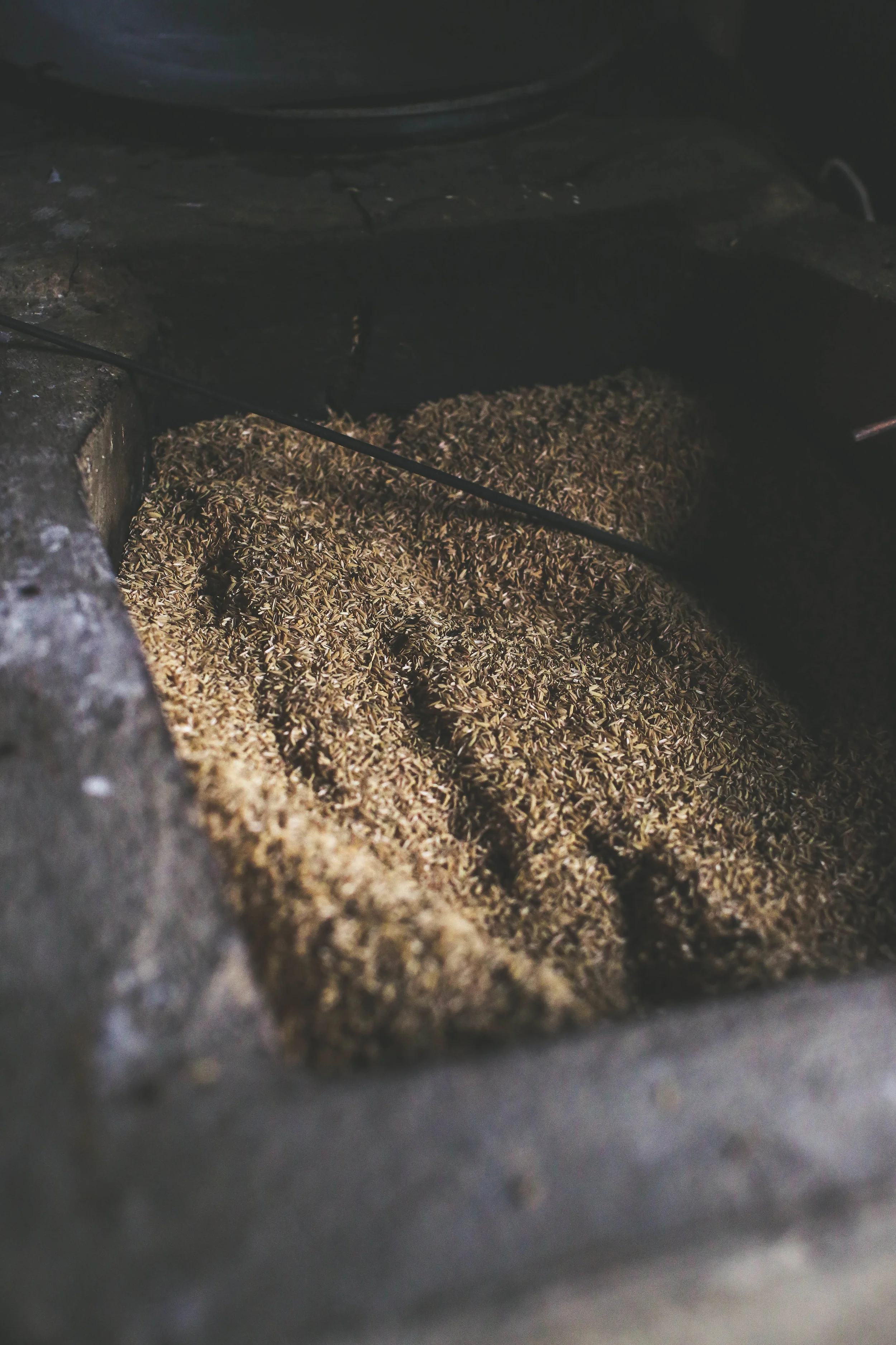 The Process of Making Rice Paper