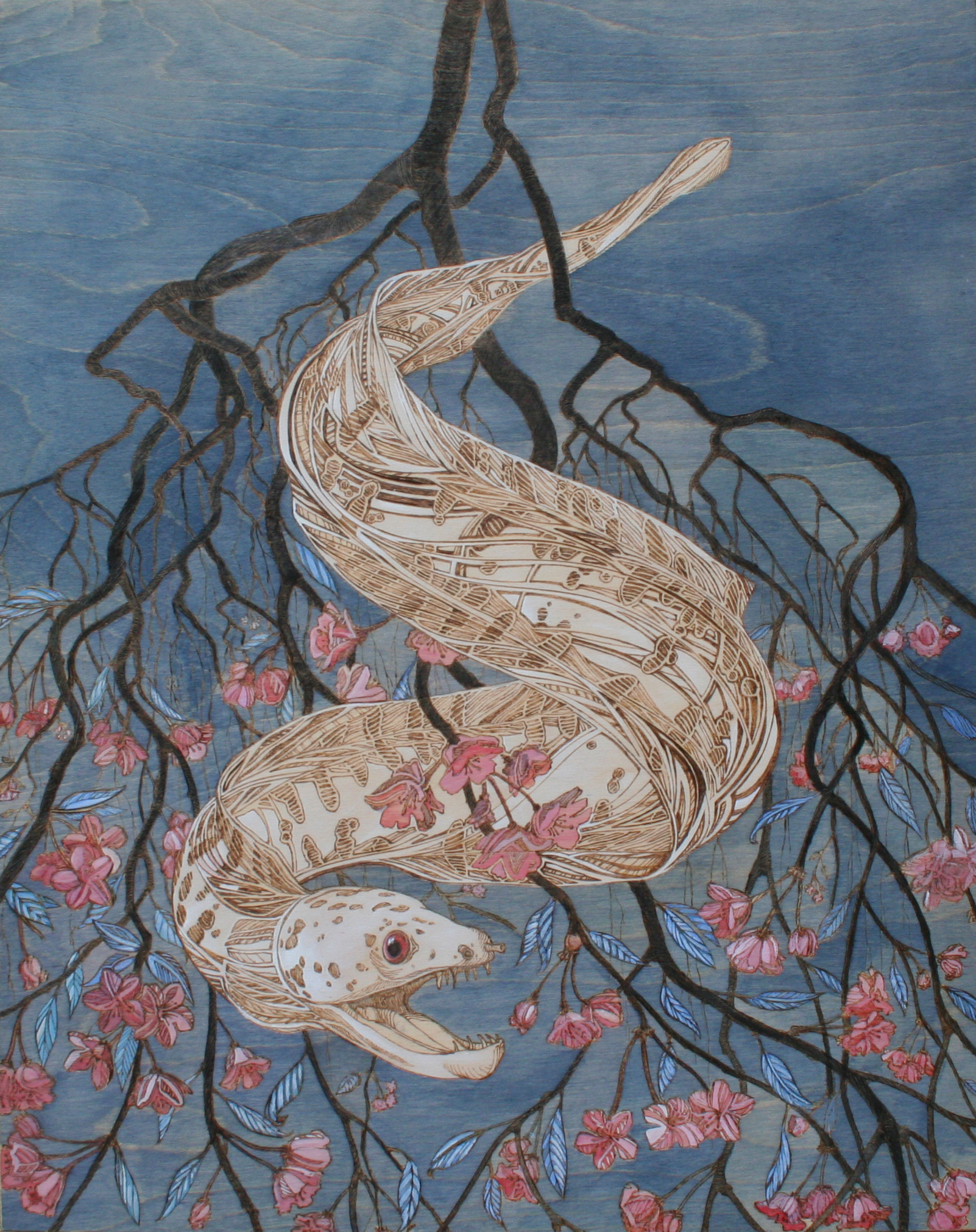 eel reference002.jpg