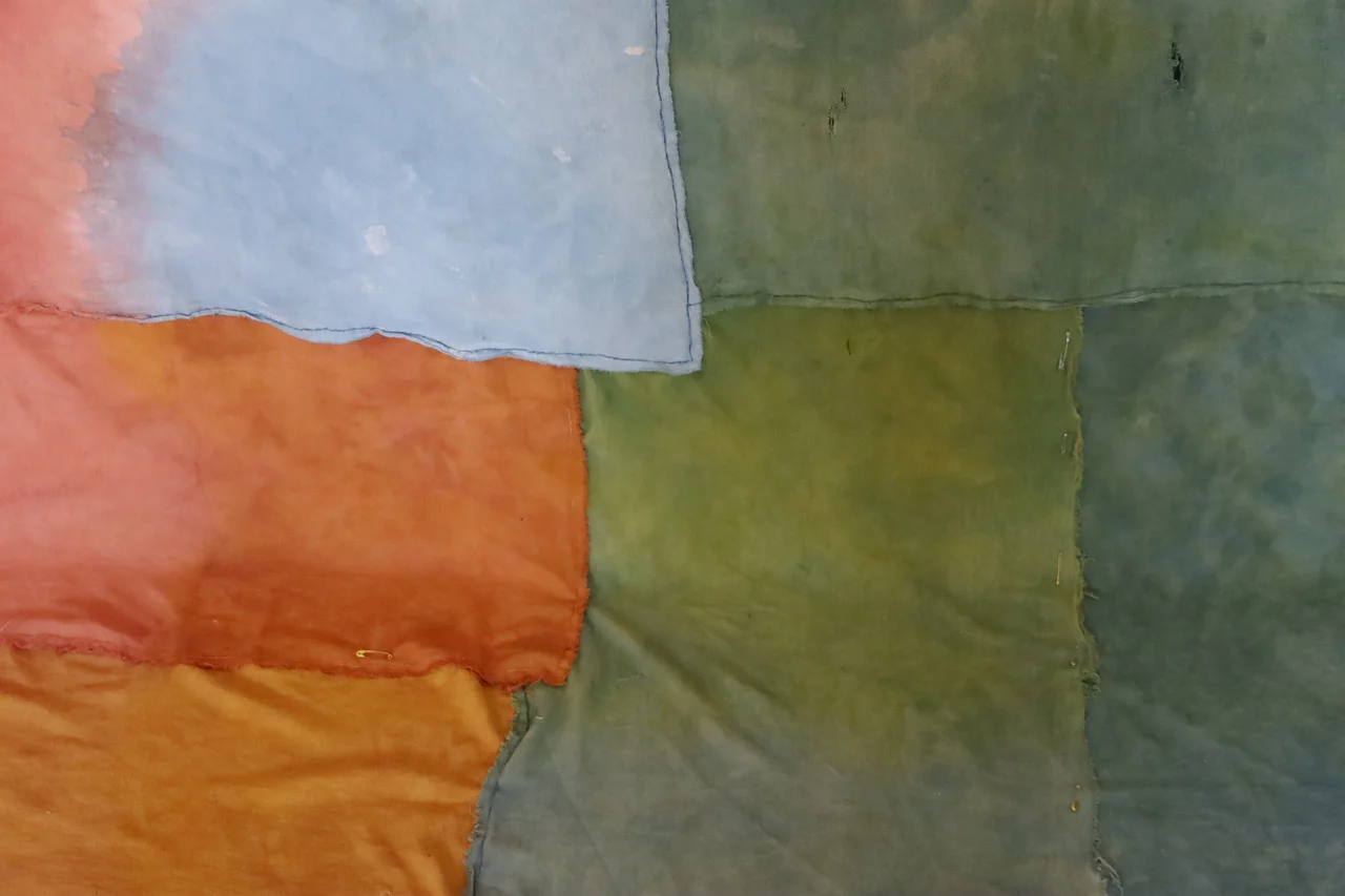 001detail colourfield 3.jpeg