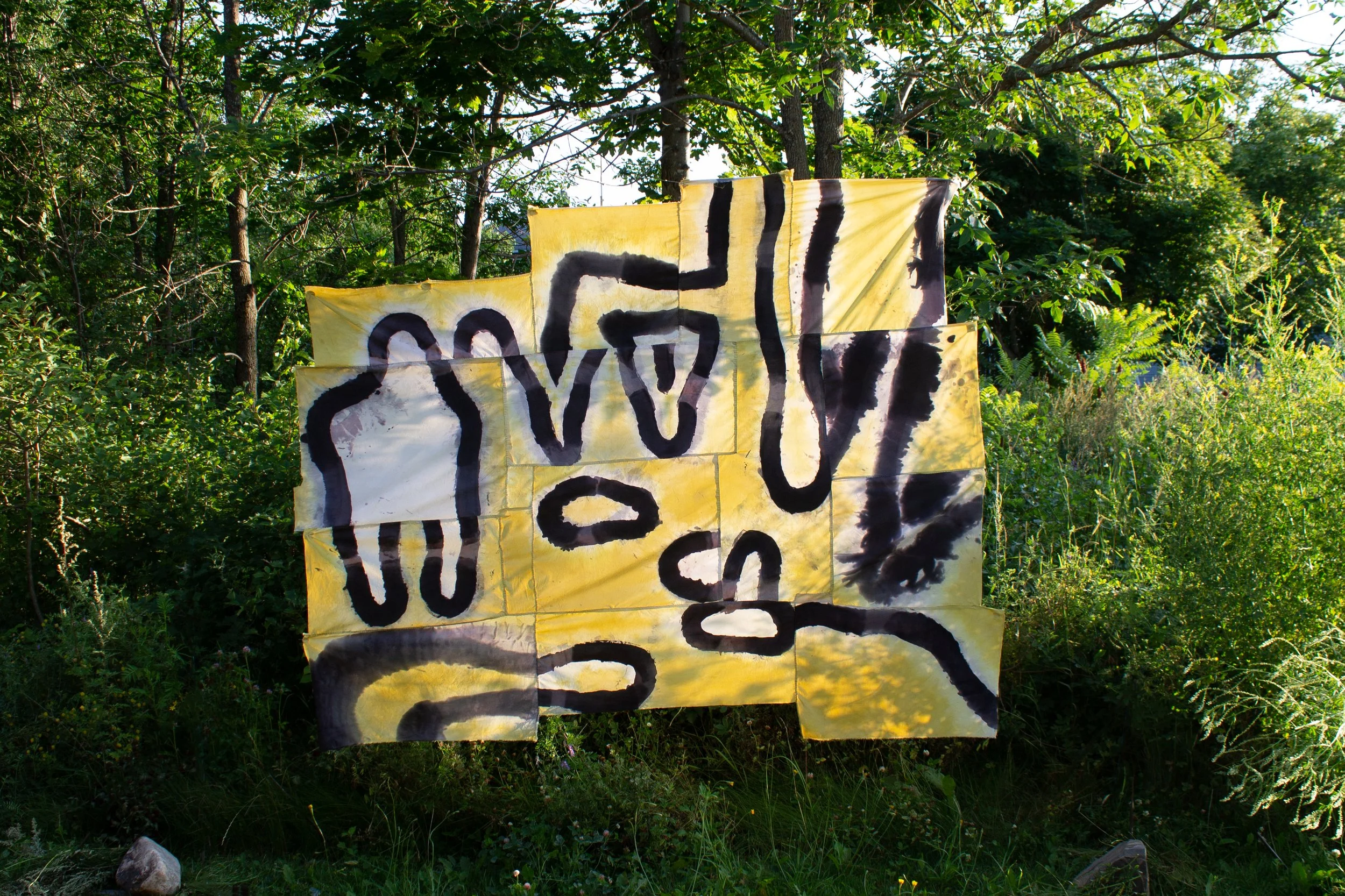 Companion Light Tests.jpg