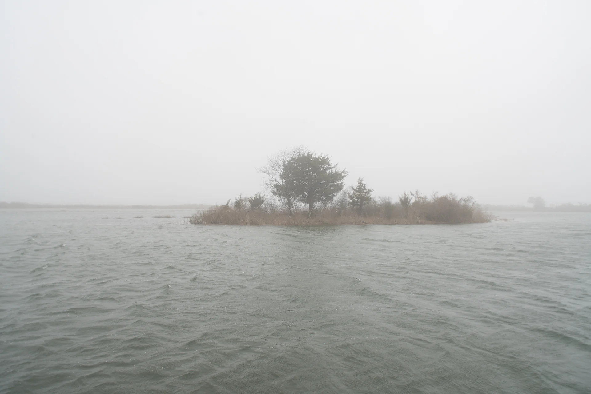 Assateague National Seashore, Maryland