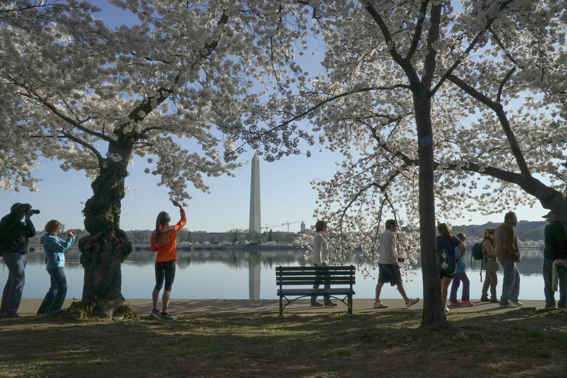 01_National Mall_44.jpg
