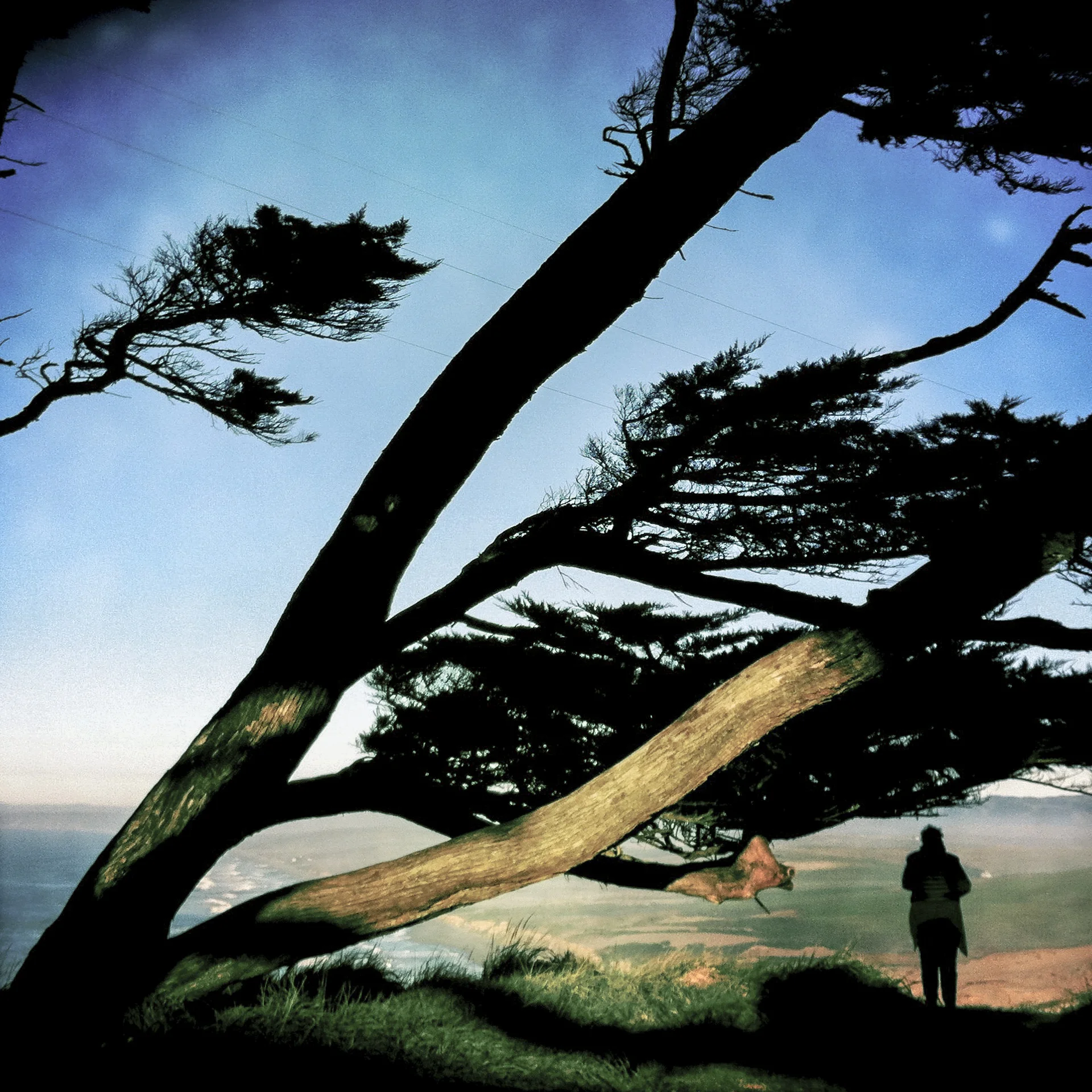 09_Point Reyes_15.jpg