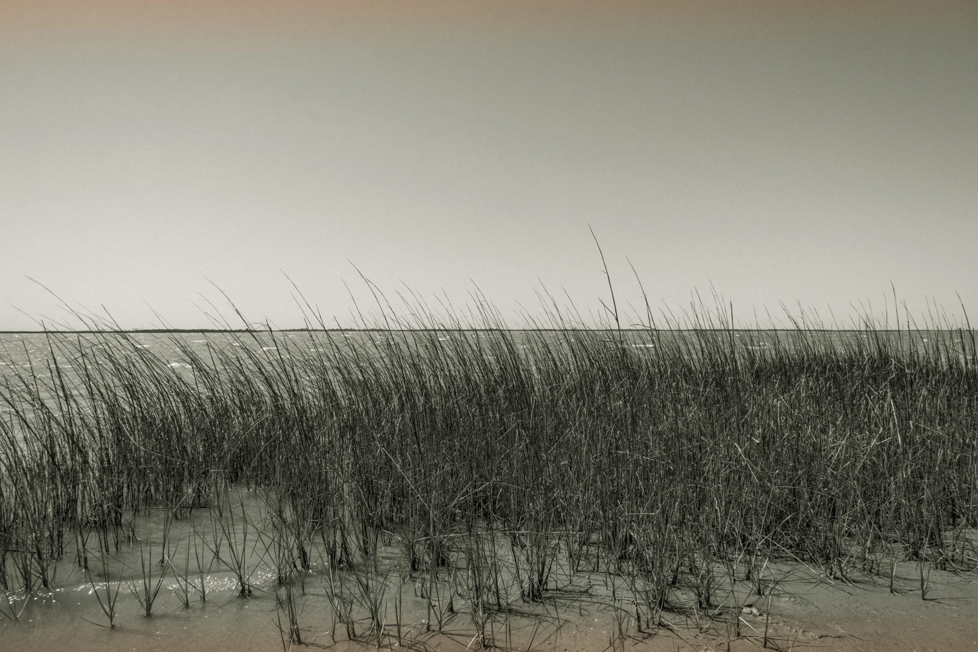 Brazoria National Wildlife Refuge, Texas