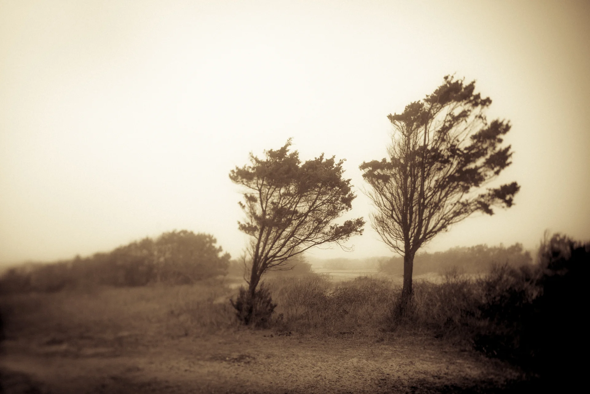 Assateague National Seashore, Maryland