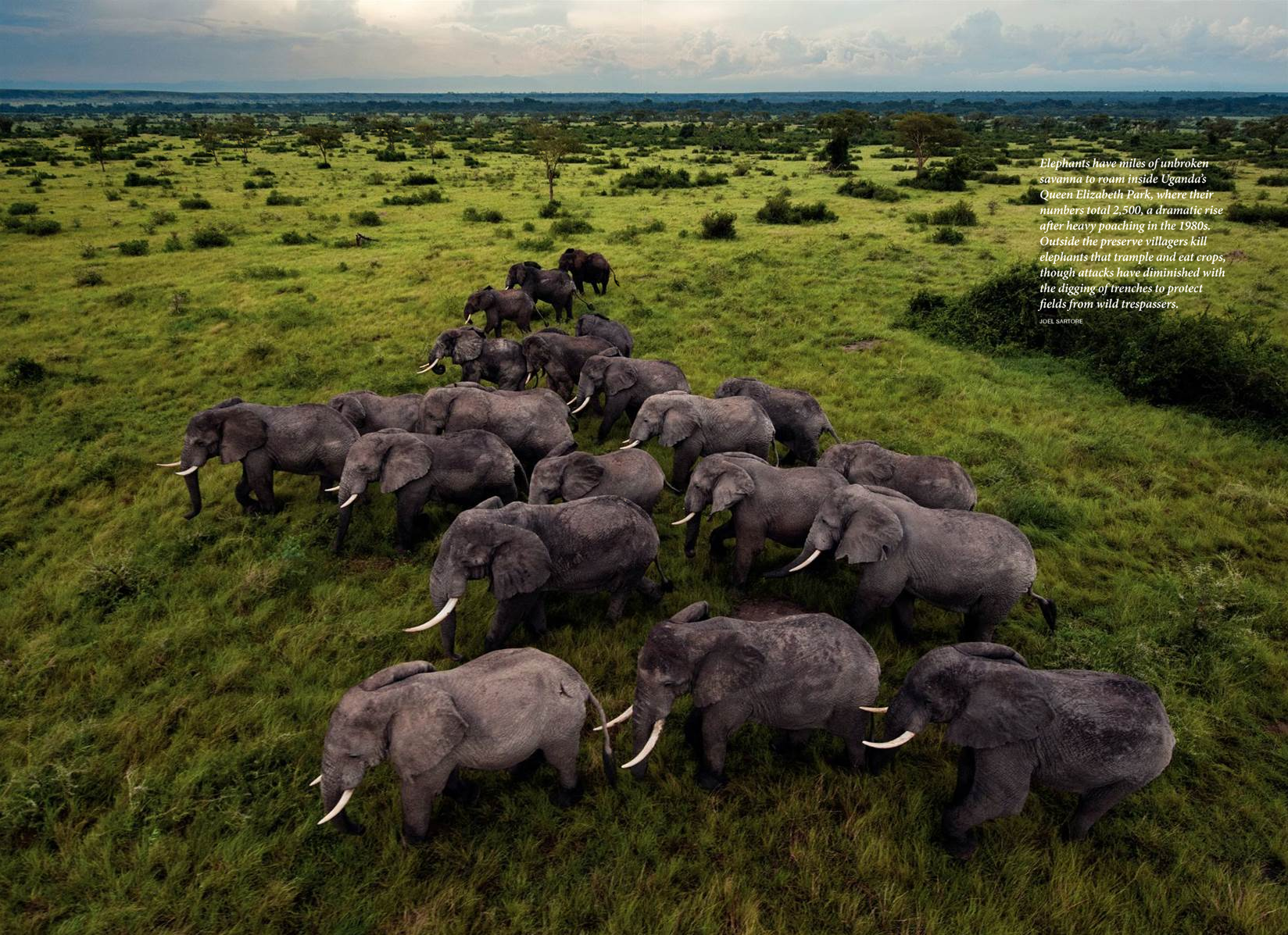 National Geographic, November 2011, Photo by Joel Sartore