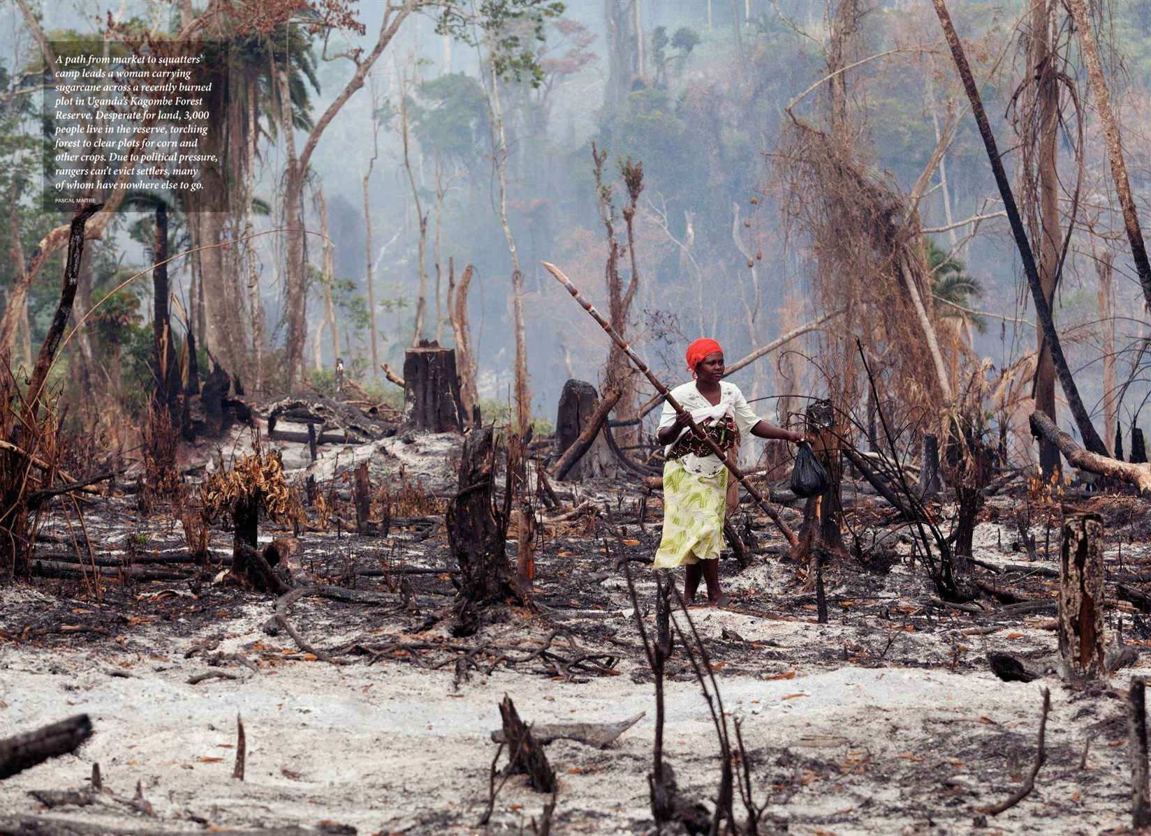 National Geographic, November 2011, Photo by Pascal Maitre