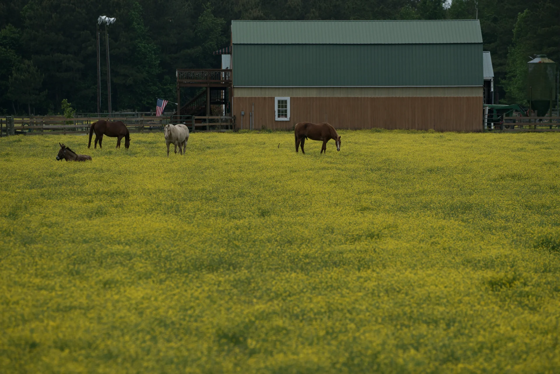 Map: 2. Farm near Belhaven, North Carolina