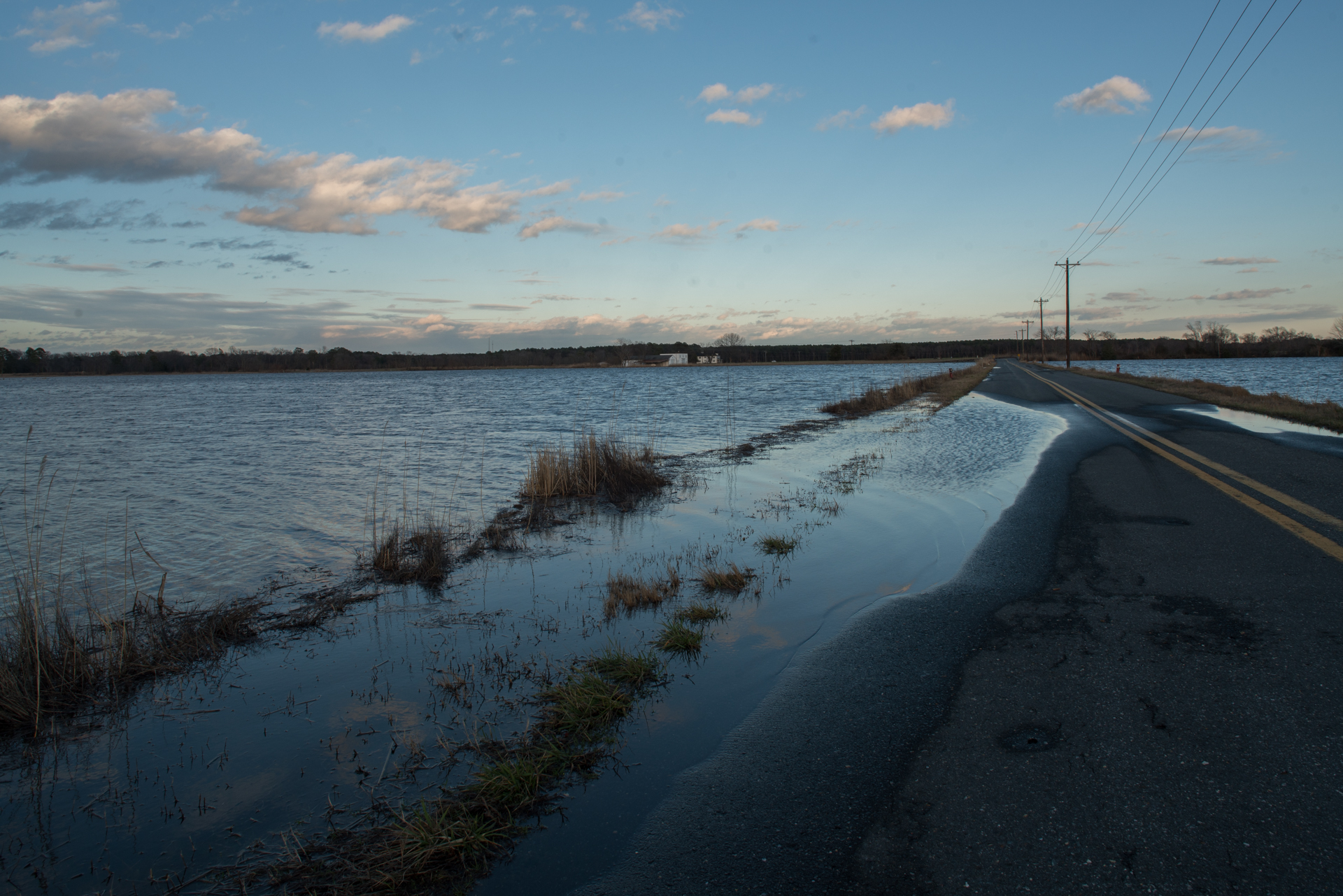 High tide on Maryland's eastern shore after a winter storm near Blackwater National Wildlife Refuge.