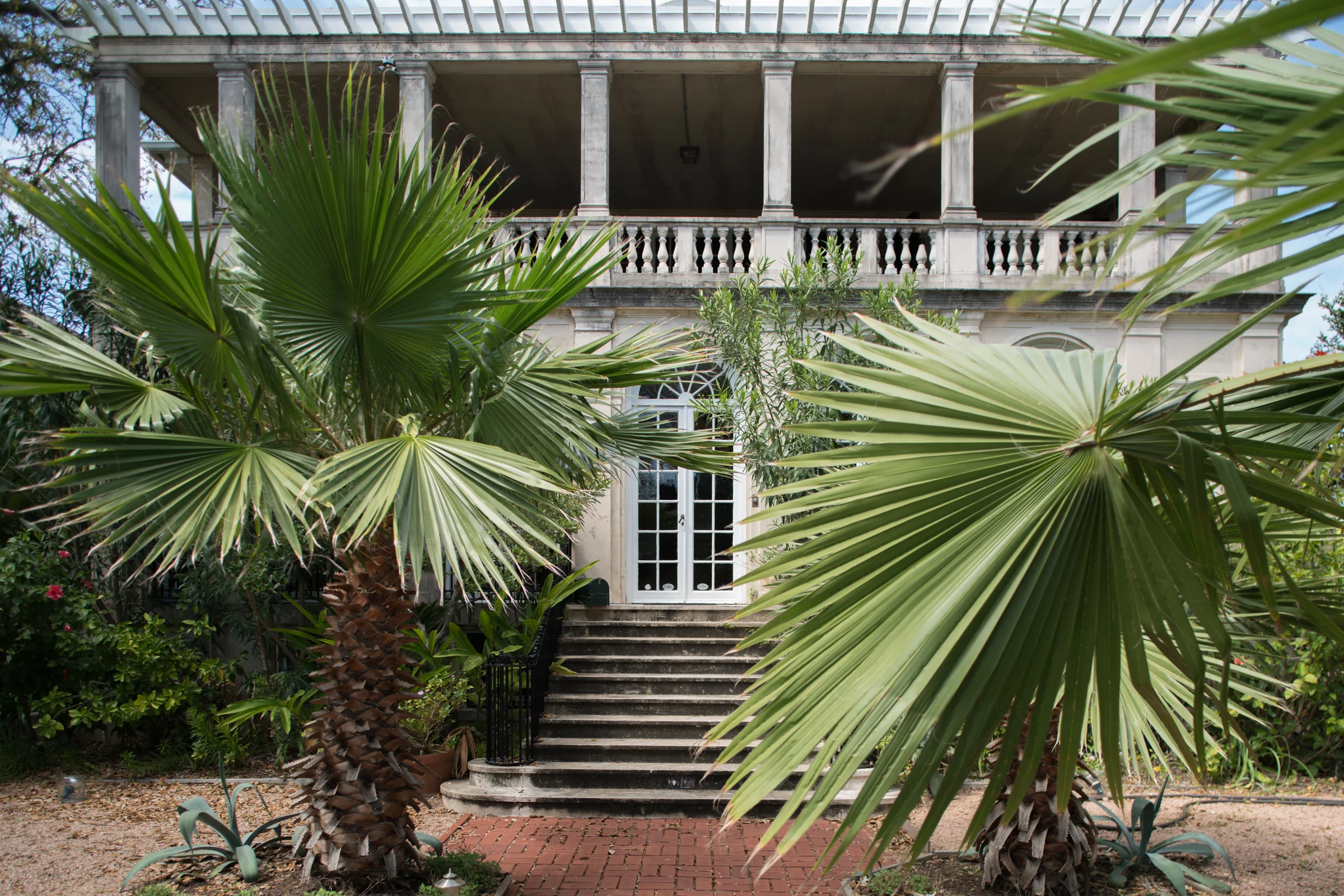 Palmettos greet visitors to a home in the Historic District, Galveston, Texas.