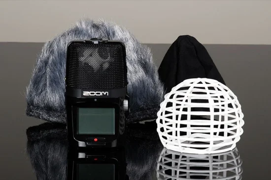 Brahma and ZoomH2N copy.jpg