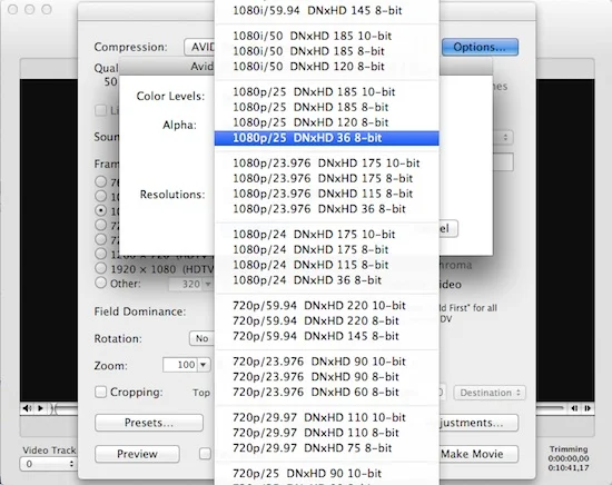 MPEG Streamclip options.jpeg