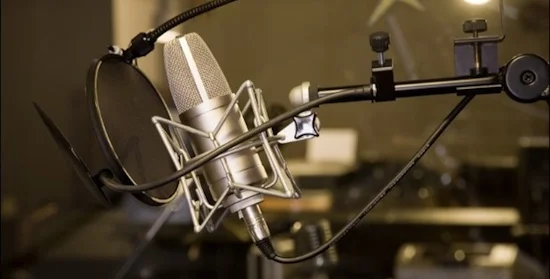 The Record Lab Mic.jpg