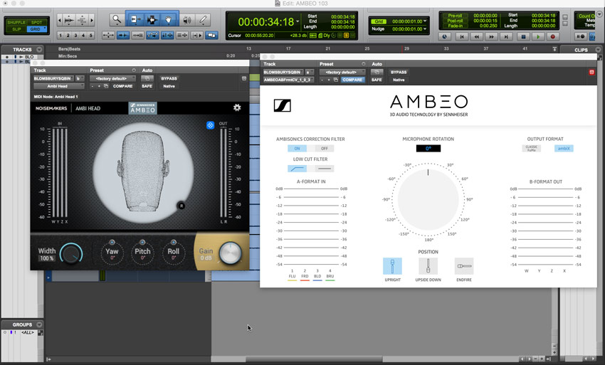 AMBEO-103-and-Ambi-Head.jpg