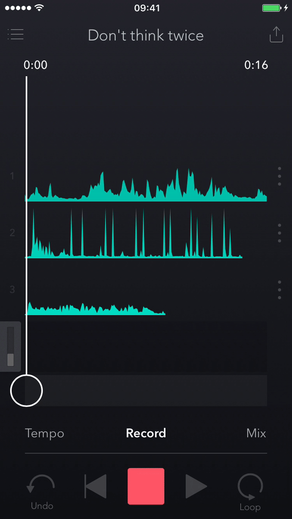 video_record.gif