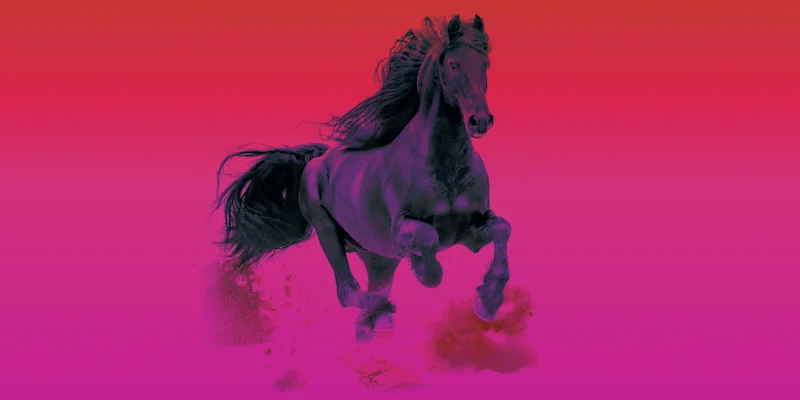 Stallion Pro Sound Effects