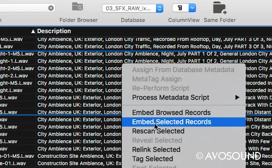 soundminer-v4.5-pro-embed-selected-records-computer.jpg