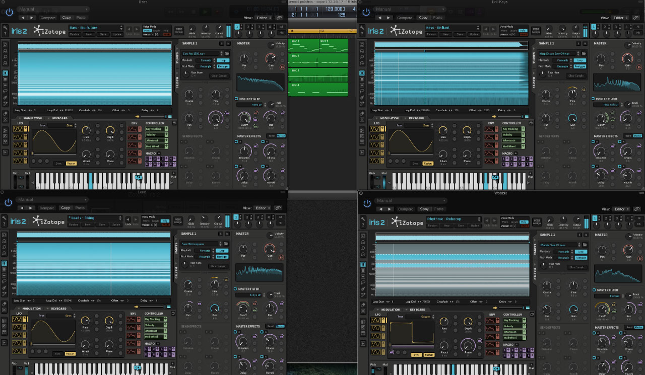 iZotope IRIS Example 1 - Click to see a larger version