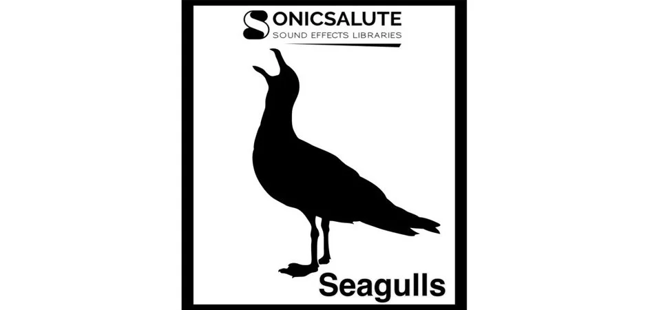 SonicSalute Release Seagulls
