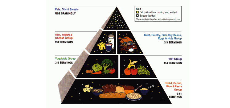 PluginsAndObesity-Diagram-1.png