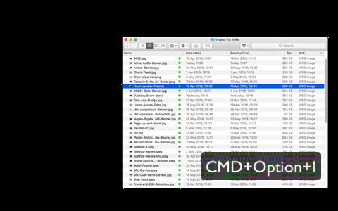 Info Window