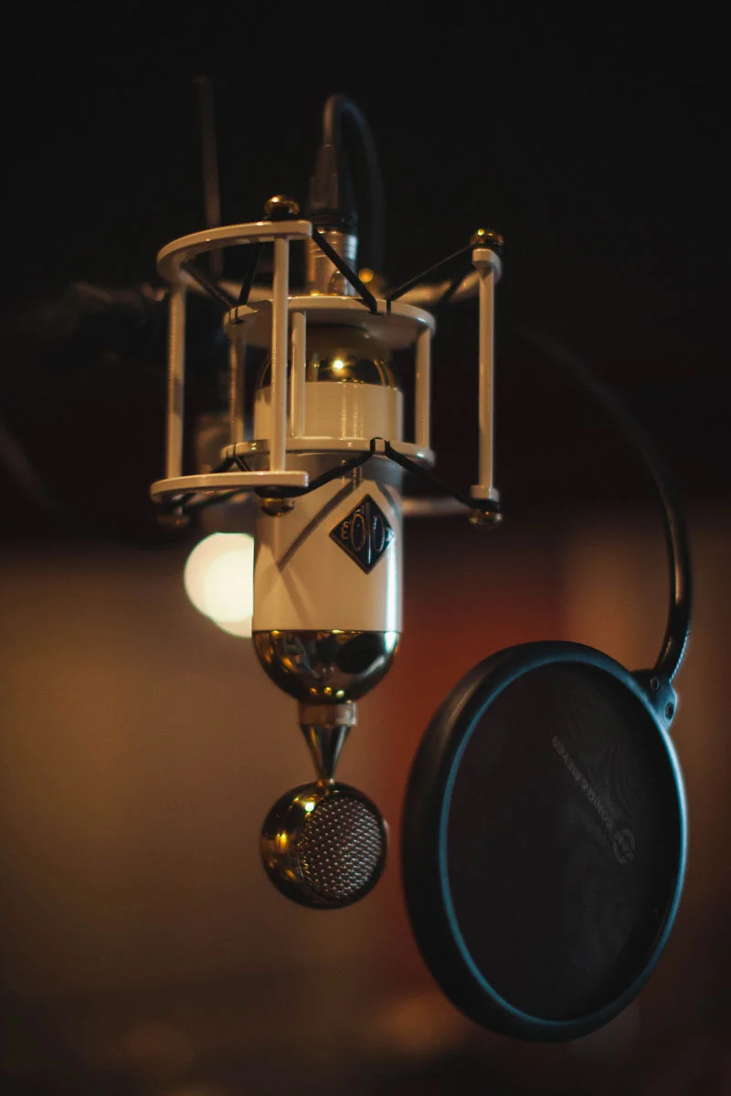 Soyuz SU-019 Tube Condenser mic for vocals.