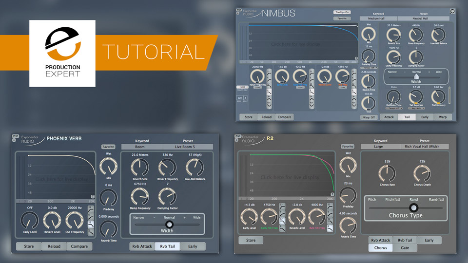 Expert Reverb Tips & Tricks From The Reverb Maestro Michael Carnes At Exponential Audio