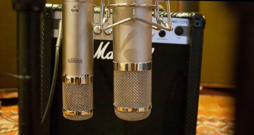 Warm Audio WA-47jr on the left an Peluso 22 47 LE on the right.